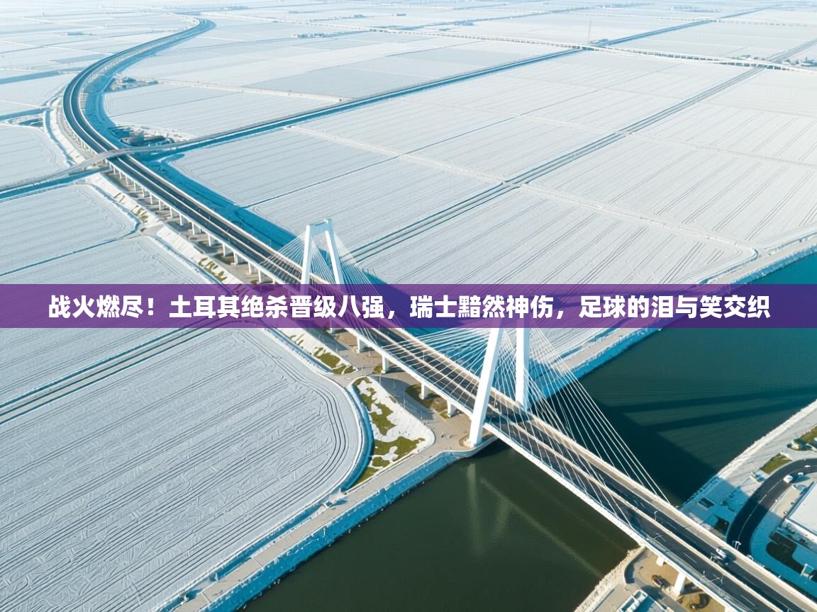 战火燃尽!土耳其绝杀晋级八强,瑞士黯然神伤,足球的泪与笑交织 第1张