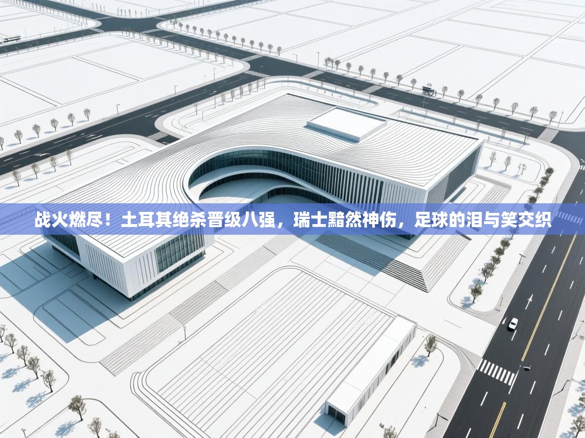 战火燃尽!土耳其绝杀晋级八强,瑞士黯然神伤,足球的泪与笑交织 第2张