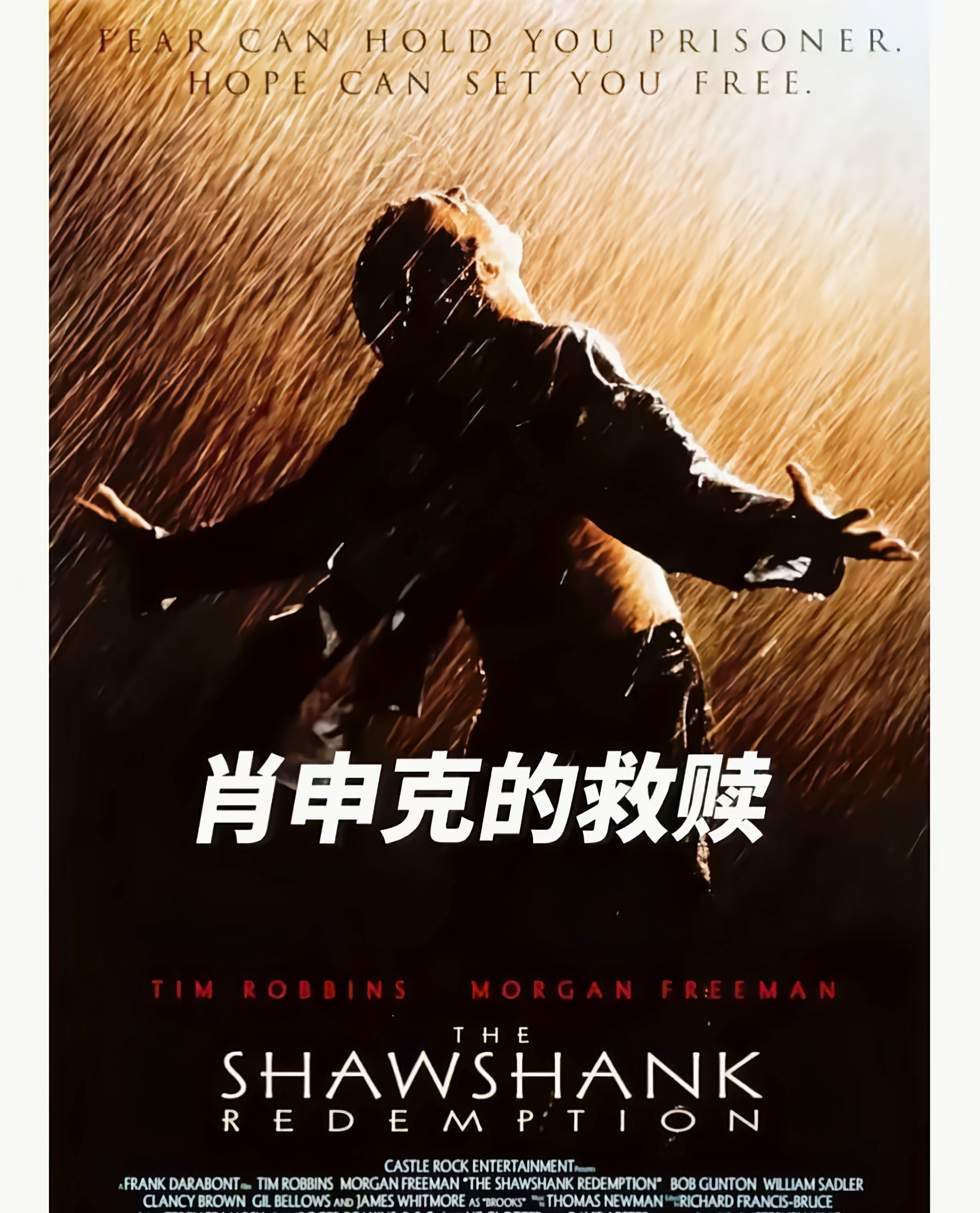 开云体育官方网站入口-西悉尼流浪者迎战阿尔艾因，防守反击或成致胜关键
